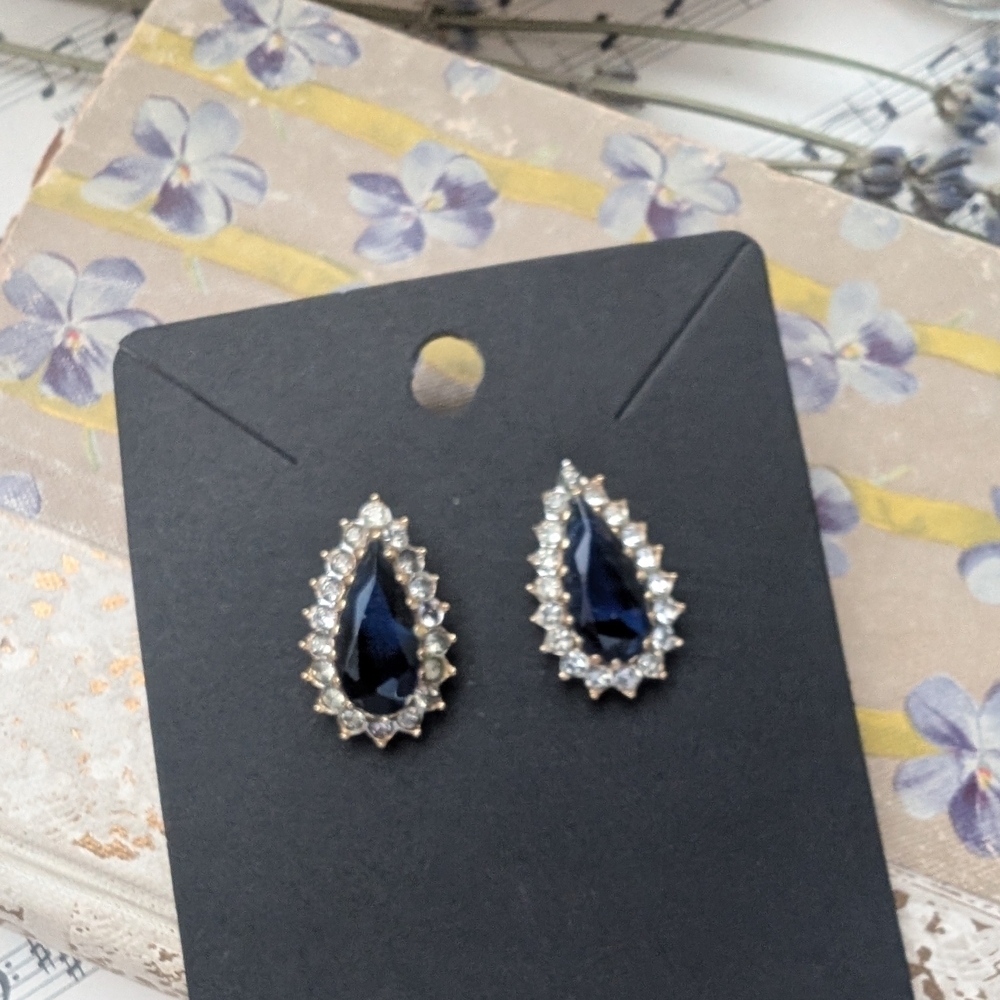 Elegant Silver and Blue Teardrop Earrings